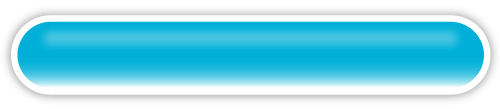 Visitor Survey