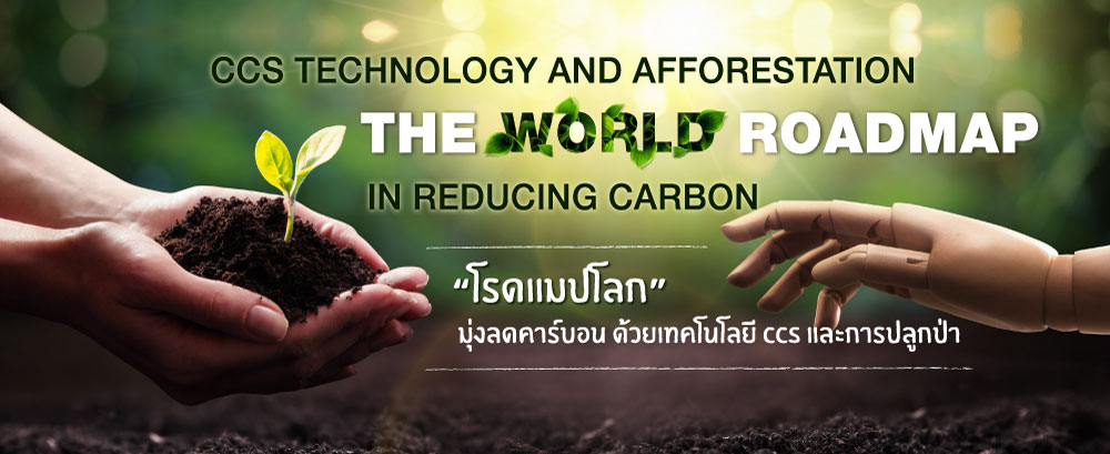 “โรดแมปโลก” มุ่งลดคาร์บอน ด้วยเทคโนโลยี CCS และการปลูกป่า