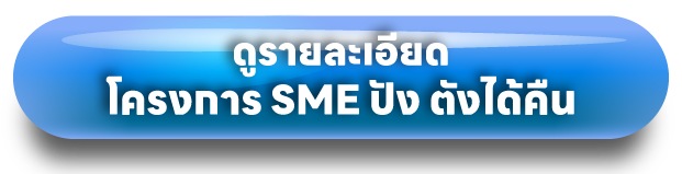 ดูรายละเอียดโครงการ SME ปัง ตังได้คืน