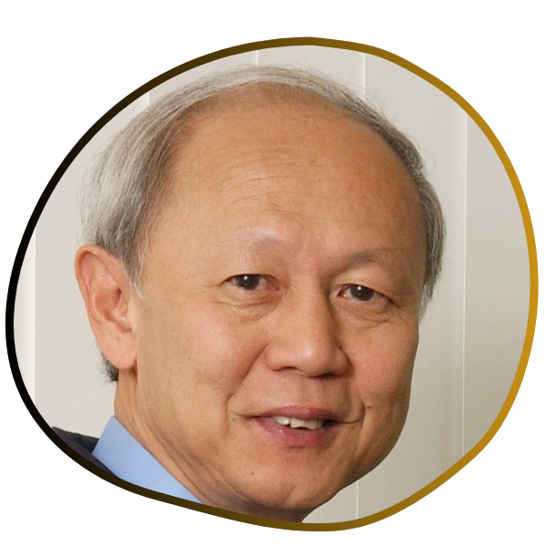 Professor Paul Teng